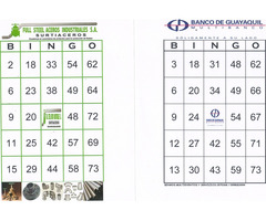 Alquiler De Juegos Bingo