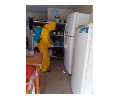 Servicio profesional de fumigación