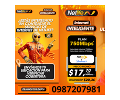 Netlife Contrataciones Quito 0987207981